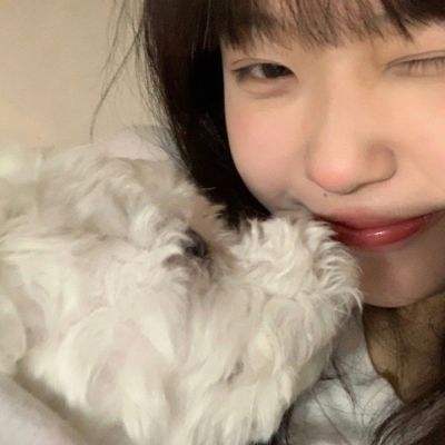 龙纹王者h5手游下载